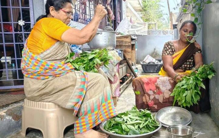 Women seated on stools, cutting greens